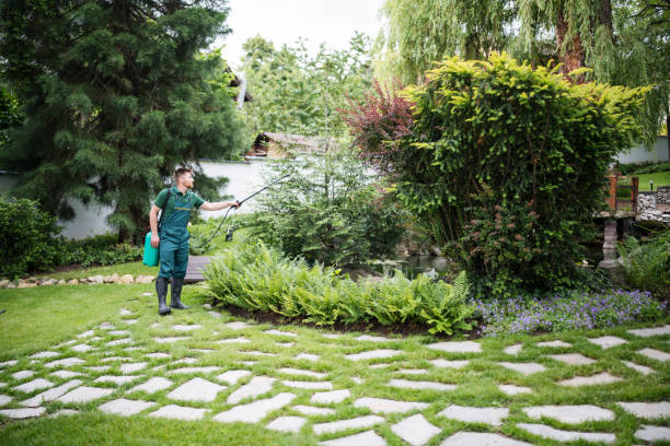 Best Ant Control Services  in Ormond By The Sea, FL