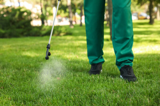 Best Commercial Pest Control Services  in Ormond By The Sea, FL