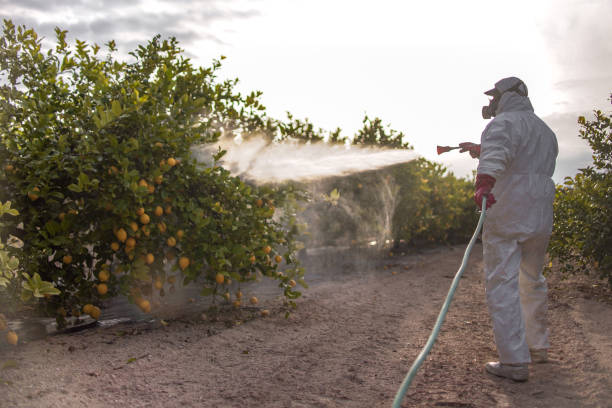 Best Residential Pest Control  in Ormond By The Sea, FL